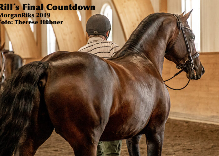 Rill´s Final Countdown_MR2019_Mwebb